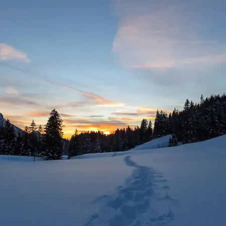 Mon Abri B By Interhome Les Diablerets