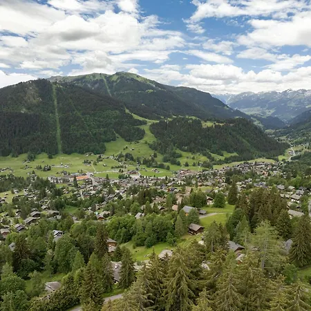 Mon Abri B By Interhome * Les Diablerets